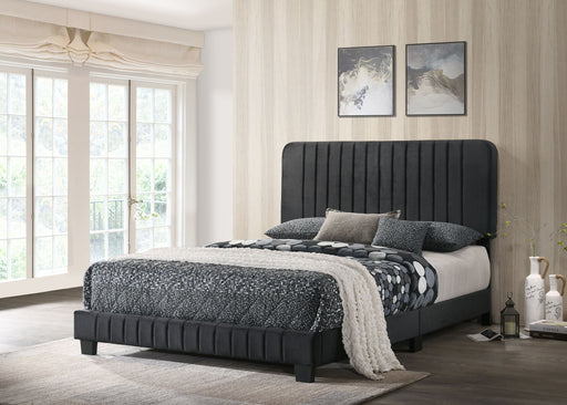 Glory Furniture channel tufted upholstered bed with a padded headboard and sleek design, shown in a modern bedroom setting.