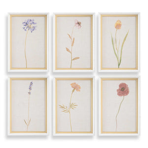Wild Flourish - Framed Floral Prints (Set of 6) - Light Brown