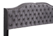 Transitional upholstered bed by Glory Furniture featuring a padded headboard and soft fabric in a cozy bedroom setting.