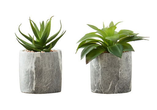 6" Tall, Artificial Plant, Succulent, Indoor, Faux, Fake, Table, Greenery, Potted, Decorative (Set of 2) - Green / Gray - R&R Furniture Gallery (Fountain Valley, CA)