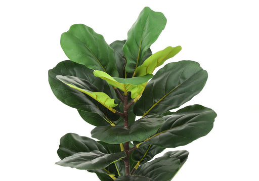 28" Tall, Artificial Plant, Fiddle Tree, Indoor, Faux, Fake, Floor, Greenery, Potted, Real Touch, Decorative - Green / Beige - R&R Furniture Gallery (Fountain Valley, CA)