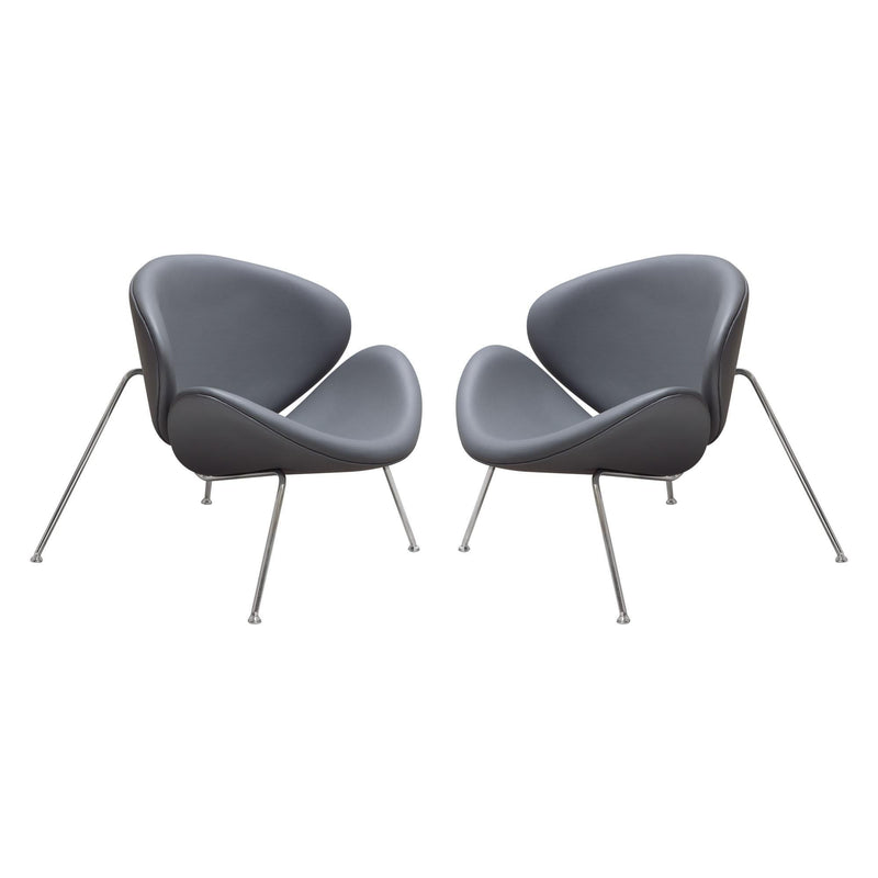 Set of (2) Roxy Accent Chair with Chrome Frame by Diamond Sofa - GREY