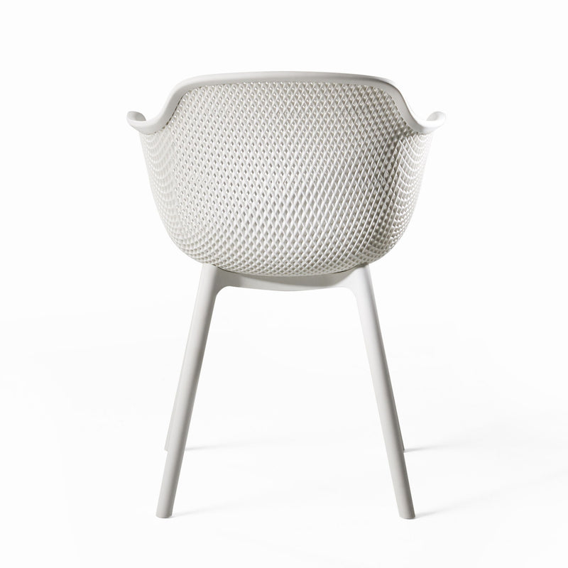 Set of two Noble House Lotus chairs with modern design, featuring sleek frames and comfortable seating.
