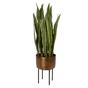 Fasita - Brass Planter (Set of 2) - Green