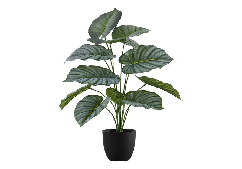 24" Tall, Artificial Plant, Calathea, Indoor, Faux, Fake, Table, Greenery, Potted, Real Touch, Decorative - Green / Black - R&R Furniture Gallery (Fountain Valley, CA)
