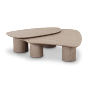 Rhema - Nesting Coffee Table (Set of 2) - Washed Ash - R&R Furniture Gallery (Fountain Valley, CA)
