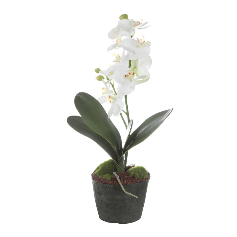 Laris - Orchid Drop-In - White