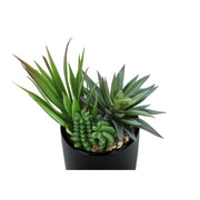 Set of two artificial succulent plants from 8th Street, realistic green faux plants in decorative pots.