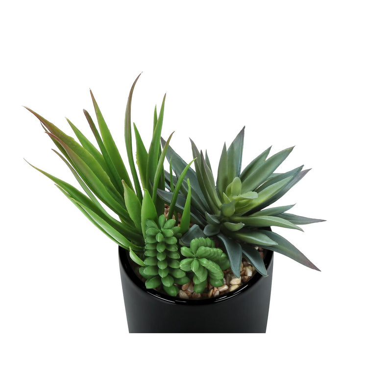 Set of two artificial succulent plants from 8th Street, realistic green faux plants in decorative pots.
