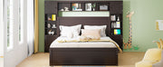 DreamHaus cabinet bed with integrated shelf, sockets, and twin long trundle, showcasing its compact, multi-functional design.