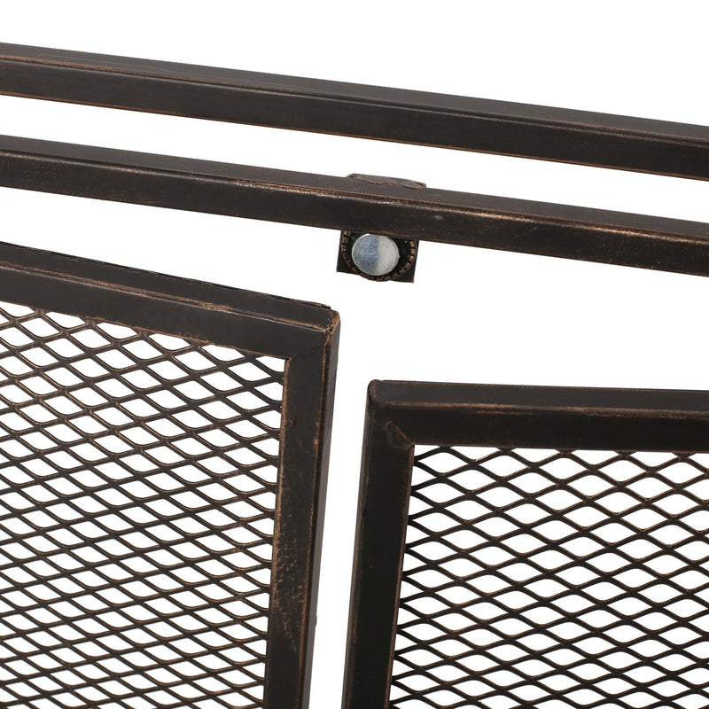 Noble House Samantha iron fireplace screen with two door design, decorative metal framework and protective mesh for safety.