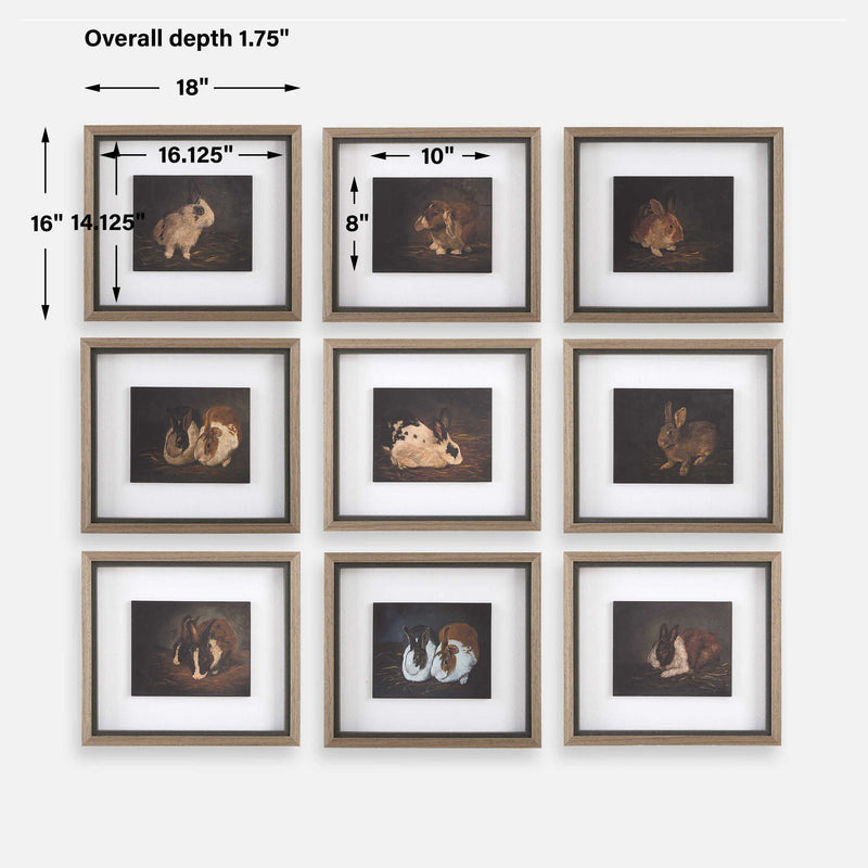 Resting Bunny - Framed Prints (Set of 9) - Dark Brown