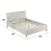 Celerina - Queen Bed - Weathered White - R&R Furniture Gallery (Fountain Valley, CA)