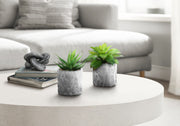 6" Tall, Artificial Plant, Succulent, Indoor, Faux, Fake, Table, Greenery, Potted, Decorative (Set of 2) - Green / Gray - R&R Furniture Gallery (Fountain Valley, CA)