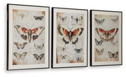 Jossletts - Wall Art Set (Set of 3) - Orange / Black / Ivory - R&R Furniture Gallery (Fountain Valley, CA)