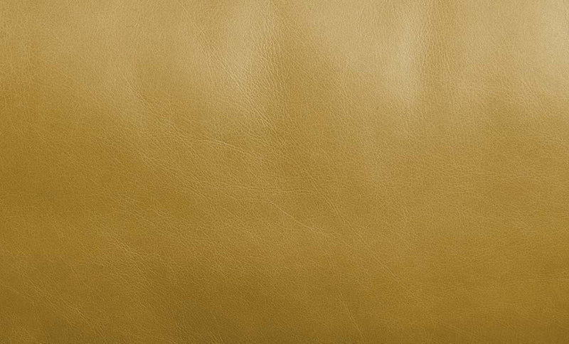 Radia - Sofa With Pillow - Turmeric Top Grain Leather - R&R Furniture Gallery (Fountain Valley, CA)