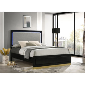 Sophia - Panel Bed With LED Headboard