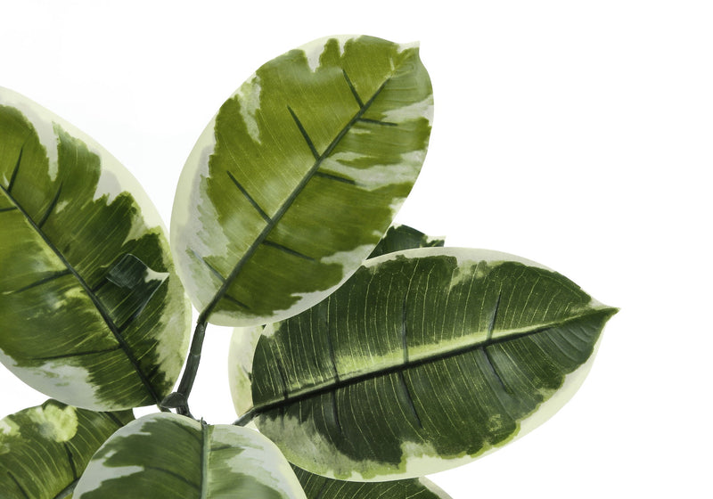 52" Tall, Artificial Plant, Rubber Tree, Indoor, Fake, Floor, Greenery, Potted, Real Touch, Decorative - Green / Black - R&R Furniture Gallery (Fountain Valley, CA)