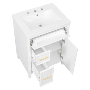 Freestanding Bathroom Vanity With Sink, Soft Close Door, Tip Out Drawer