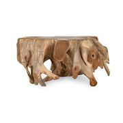 Cypress - Teak Root Coffee Table - R&R Furniture Gallery (Fountain Valley, CA)