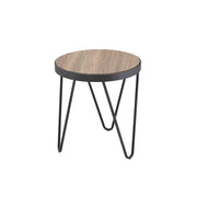 Bage - End Table - R&R Furniture Gallery (Fountain Valley, CA)