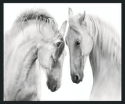 White - 48" x 72" Horses Photography - Gray - R&R Furniture Gallery (Fountain Valley, CA)