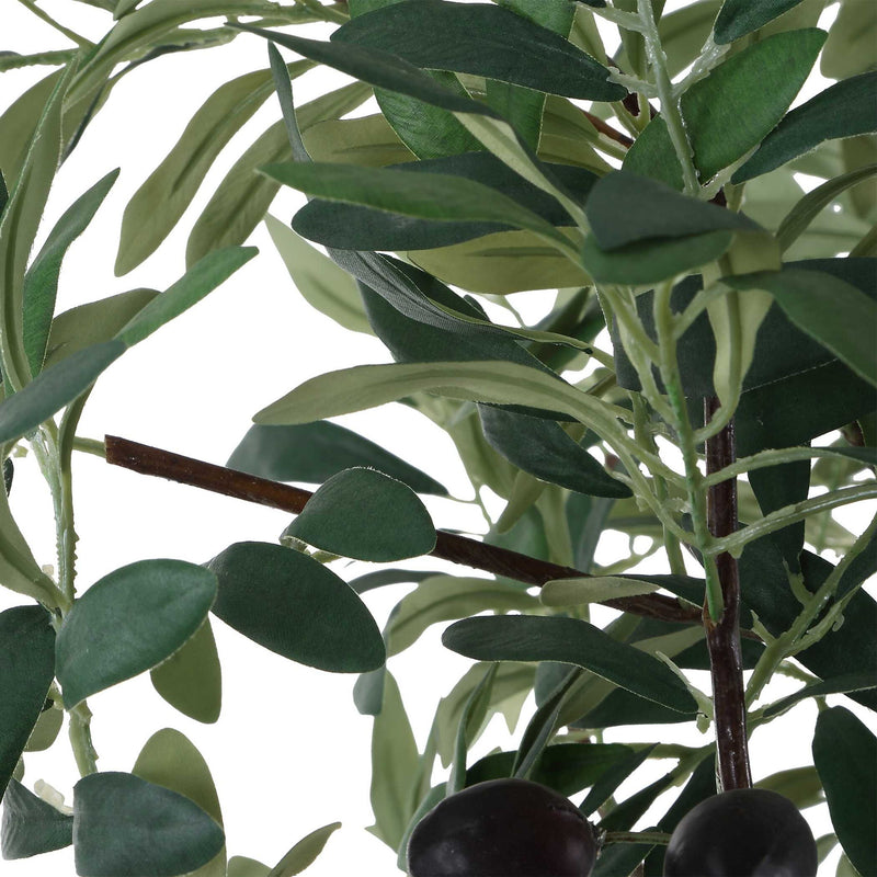 Sonora Olive - Tree In Planter - Gray / Green