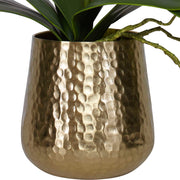 White orchid plant in a brass pot planter, featuring the Cami Orchid by Uttermost, displayed with lush green leaves and elegant presentation.