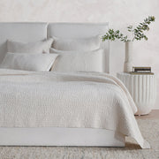 Danica - Sham - R&R Furniture Gallery (Fountain Valley, CA)