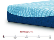 Peak 2.0 10 Memory Foam - Mattress - R&R Furniture Gallery (Fountain Valley, CA)