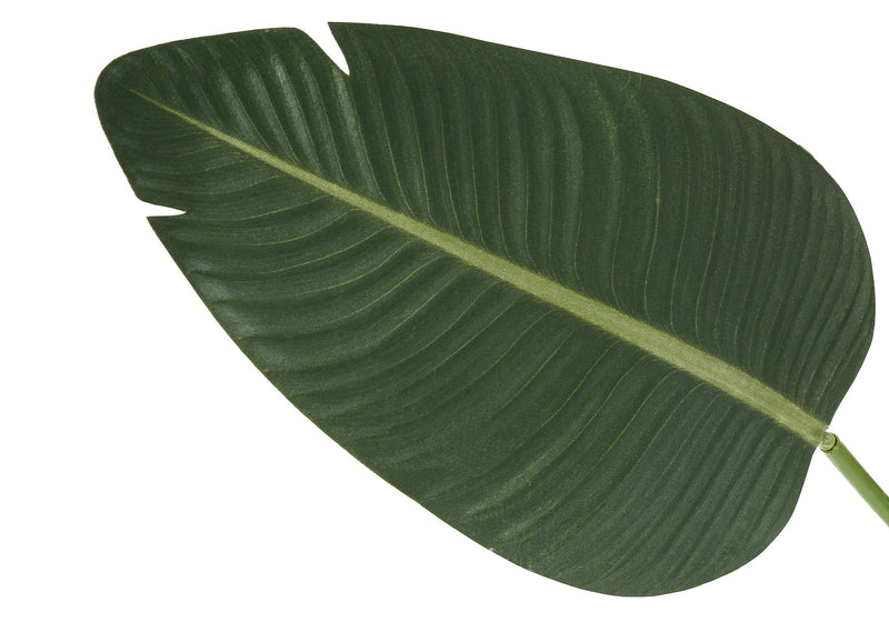 60" Tall, Artificial Plant, Bird Of Paradise Tree, Indoor, Faux, Fake, Floor, Greenery, Potted, Decorative - Green / Black - R&R Furniture Gallery (Fountain Valley, CA)