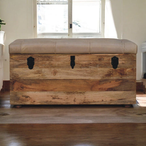 Buffalo - Storage Trunk - R&R Furniture Gallery (Fountain Valley, CA)