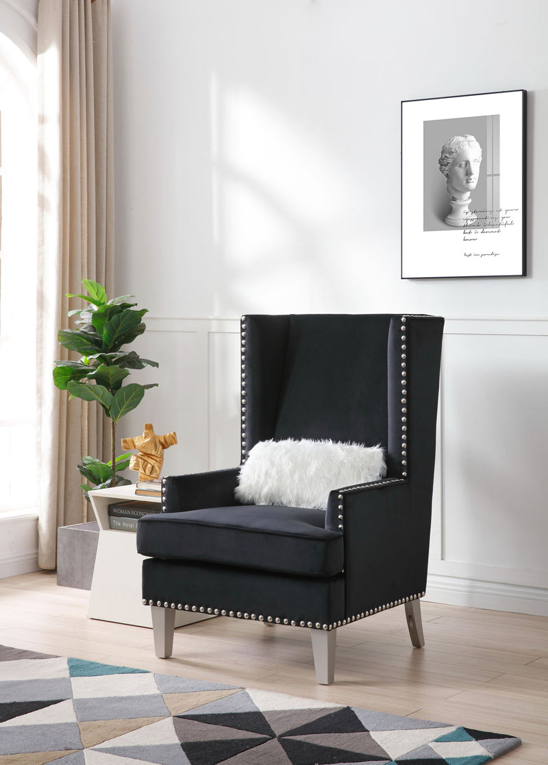 Elegant traditional accent arm chair from Glory Furniture with ornate wooden details and plush fabric upholstery.