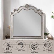 Esteban - Mirror - Antique Champagne - R&R Furniture Gallery (Fountain Valley, CA)