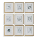 Nature's - Script Framed Botanical Prints (Set of 9) - Gold / Green / White