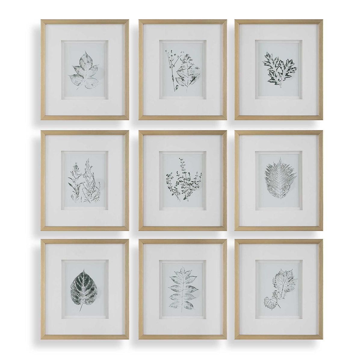 Nature's - Script Framed Botanical Prints (Set of 9) - Gold / Green / White