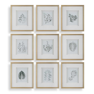 Nature's - Script Framed Botanical Prints (Set of 9) - Gold / Green / White
