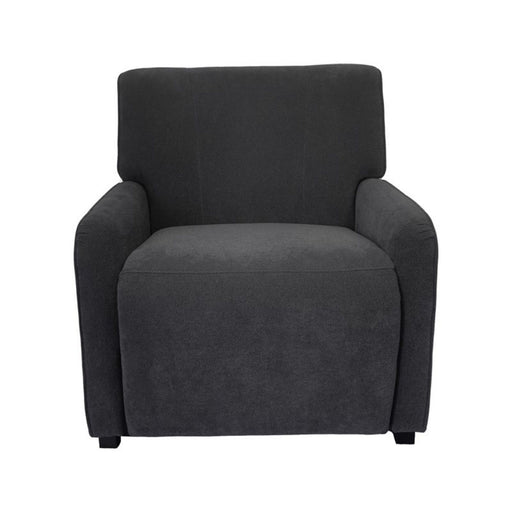 Stylish Recliner Chair - Gray - R&R Furniture Gallery (Fountain Valley, CA)