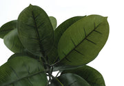 52" Tall, Artificial Plant, Rubber Tree, Indoor, Faux, Fake, Floor, Greenery, Potted, Real Touch, Decorative - Green / Black - R&R Furniture Gallery (Fountain Valley, CA)