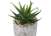 6" Tall, Artificial Plant, Succulent, Indoor, Faux, Fake, Table, Greenery, Potted, Decorative (Set of 2) - Green / Gray - R&R Furniture Gallery (Fountain Valley, CA)