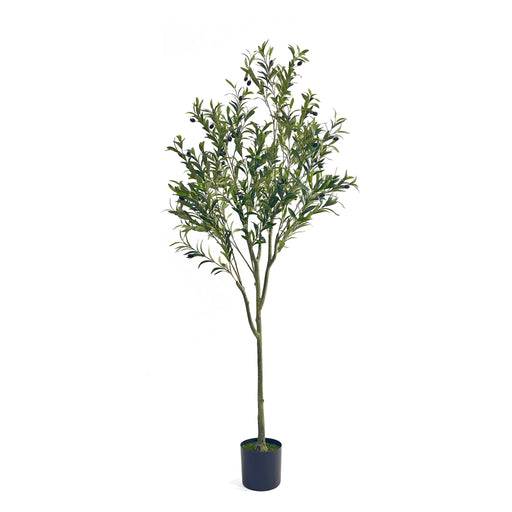 Artificial Olive Tree - R&R Furniture Gallery (Fountain Valley, CA)