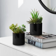 Set of 2 artificial succulent plants from 8th Street featuring realistic green and textured leaves for decorative display.