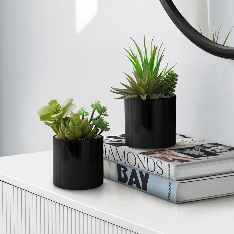 Set of 2 artificial succulent plants from 8th Street featuring realistic green and textured leaves for decorative display.