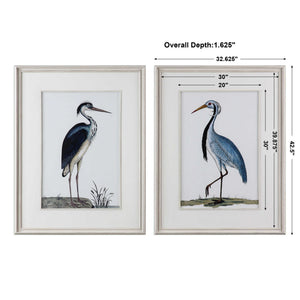 Shore Birds - Framed Prints (Set of 2) - Black