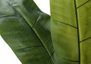 55" Tall, Artificial Plant, Banana Tree, Indoor, Faux, Fake, Floor, Greenery, Potted, Real Touch, Decorative - Green / Black - R&R Furniture Gallery (Fountain Valley, CA)