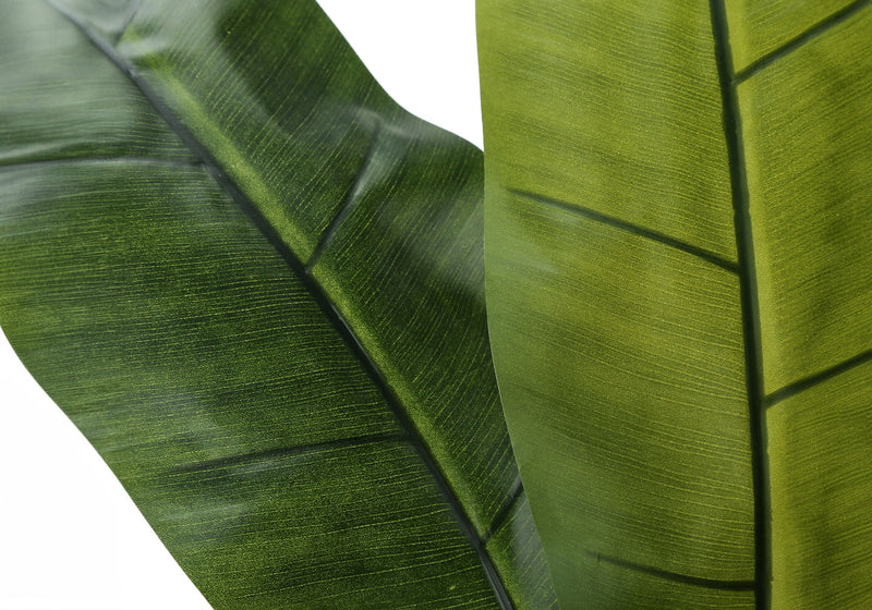 55" Tall, Artificial Plant, Banana Tree, Indoor, Faux, Fake, Floor, Greenery, Potted, Real Touch, Decorative - Green / Black - R&R Furniture Gallery (Fountain Valley, CA)