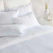 Cardiff - Sham - R&R Furniture Gallery (Fountain Valley, CA)