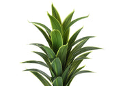 47" Tall, Artificial Plant, Dracaena Tree, Indoor, Faux, Fake, Floor, Greenery, Potted, Real Touch, Decorative - Green / Black - R&R Furniture Gallery (Fountain Valley, CA)