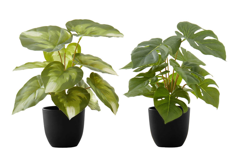 13" Tall, Artificial Plant, Monstera Calthea, Indoor, Faux, Fake, Table, Greenery, Potted, Decorative (Set of 2) - Green / Black - R&R Furniture Gallery (Fountain Valley, CA)