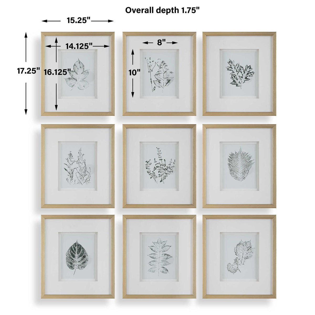 Nature's - Script Framed Botanical Prints (Set of 9) - Gold / Green / White